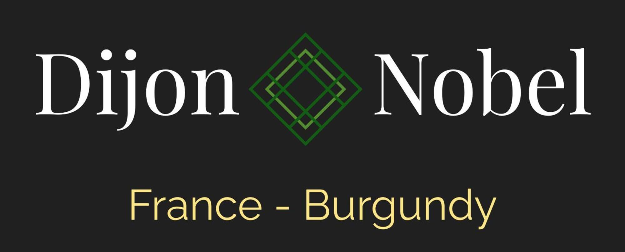 Dijon Nobel Apartment Bagian luar foto